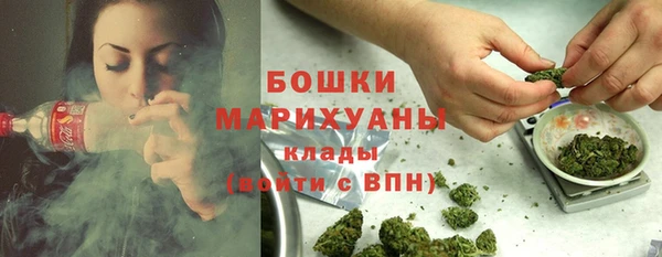 шишки Абаза