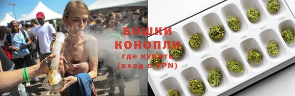 шишки Абаза