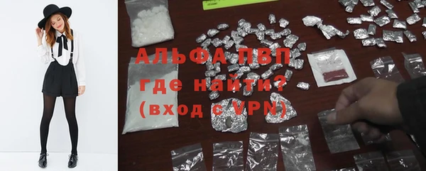 гидра Новодвинск