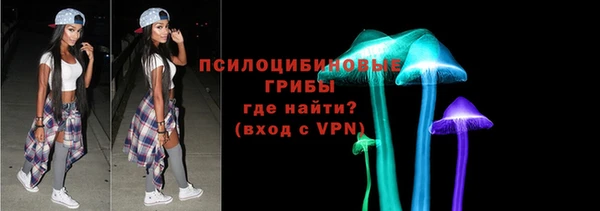 шишки Абаза