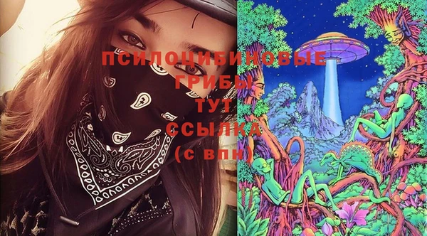 соль ск Абдулино