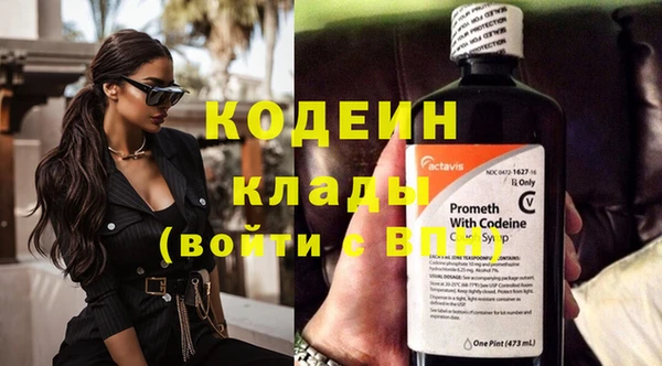 шишки Абаза