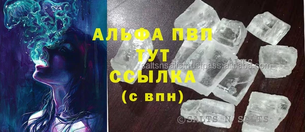 гидра Новодвинск