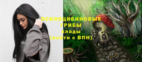 шишки Абаза