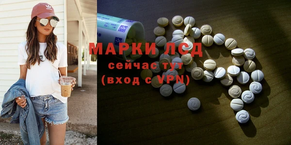 гидра Новодвинск