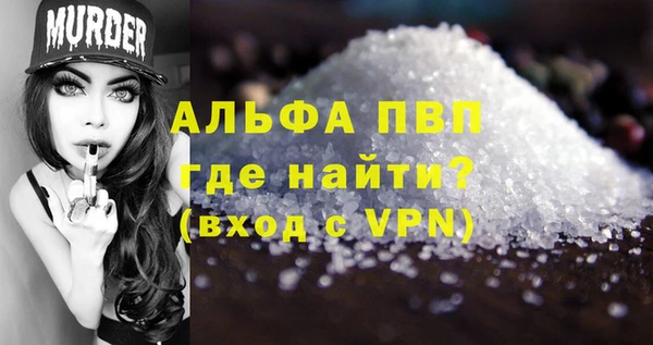 СК Новозыбков