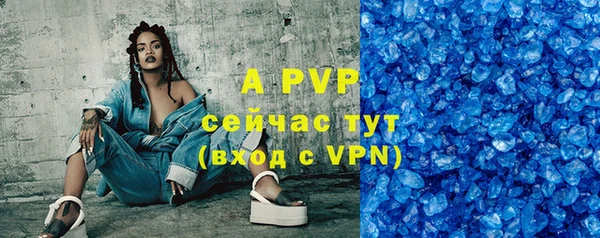СК Новозыбков