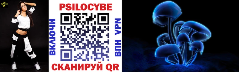 Псилоцибиновые грибы Cubensis  Барнаул 