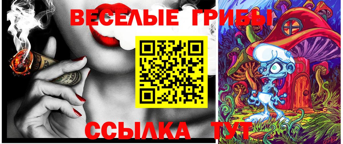 Псилоцибиновые грибы Cubensis Барнаул
